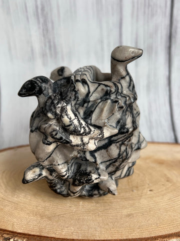 Zwartnet steen medusa groot
