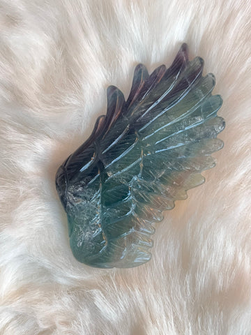 Fluoriet middelgroot per wing