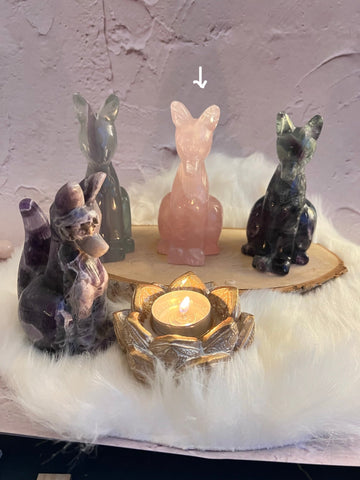 Rozenkwarts vos