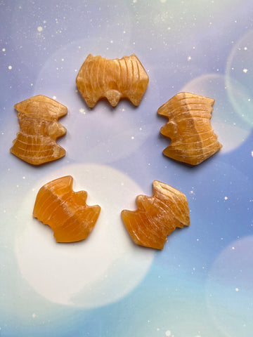 Oranje calciet vleermuisje