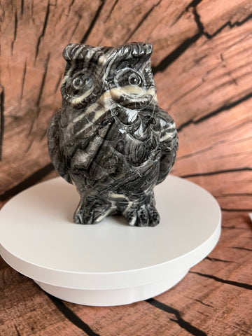 Zwart net steen uil groot