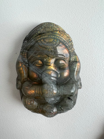 Labradoriet Ganesh